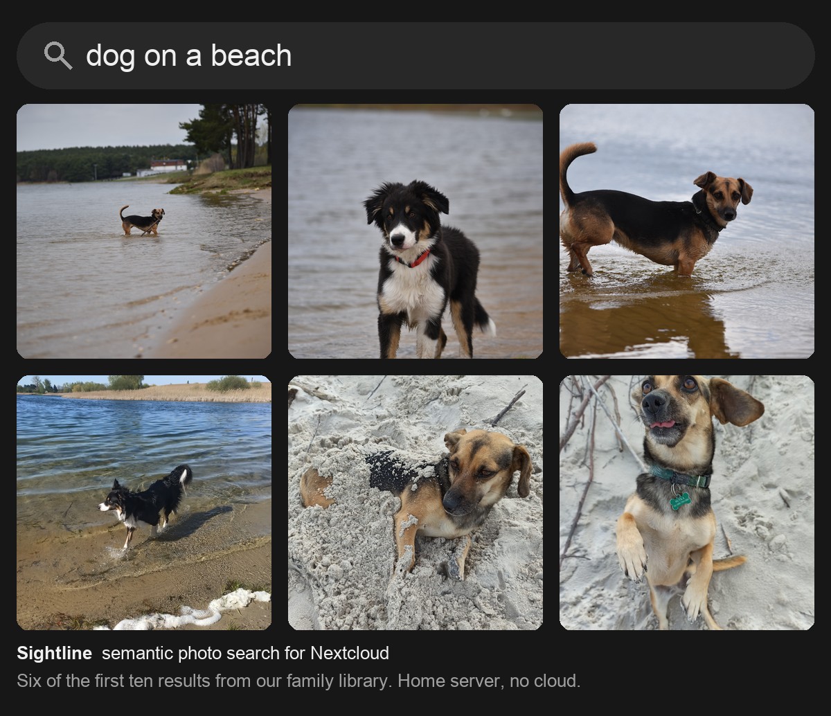 Six of the first ten results for the query 'dog on a beach' in our family library: dogs standing in shallow water, digging in sand and sitting on a beach